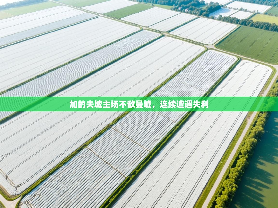 加的夫城主场不敌曼城，连续遭遇失利  第1张