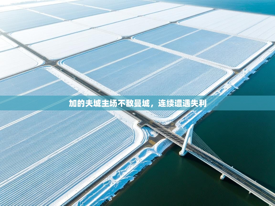 加的夫城主场不敌曼城，连续遭遇失利  第2张