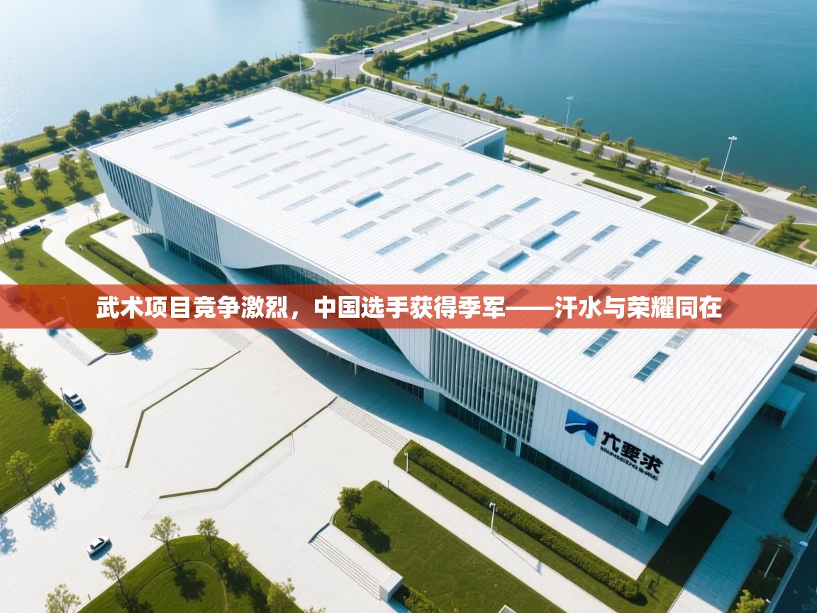 武术项目竞争激烈，中国选手获得季军——汗水与荣耀同在  第1张