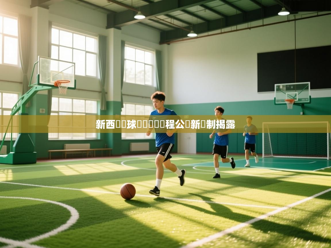 新西蘭籃球聯賽熱點賽程公佈新賽制揭露 第1张