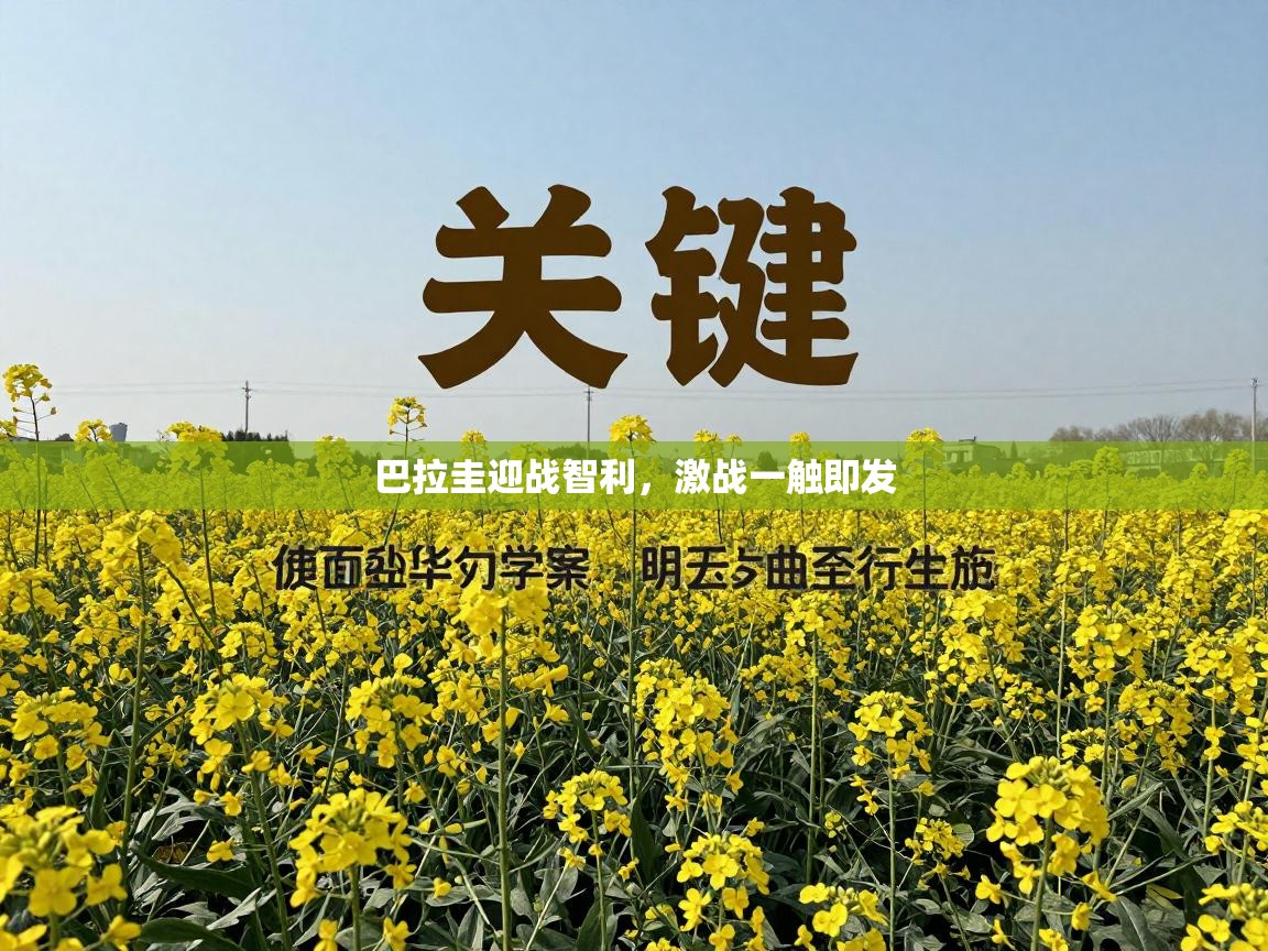 巴拉圭迎战智利，激战一触即发  第1张