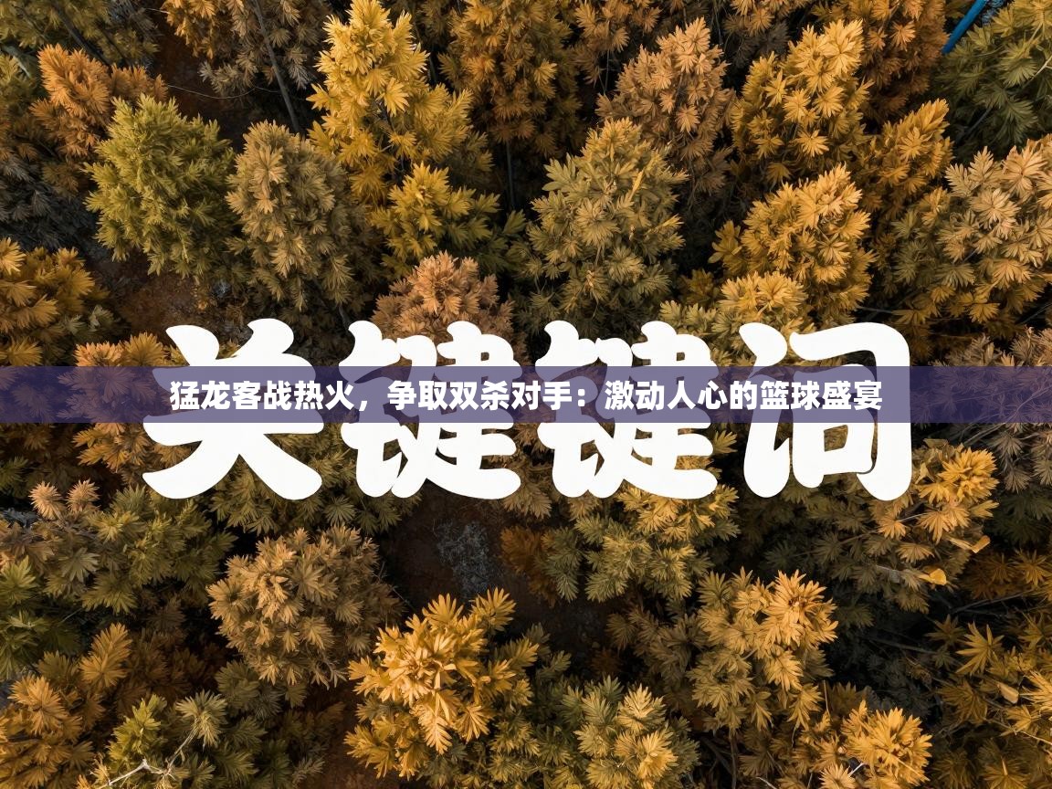 猛龙客战热火，争取双杀对手：激动人心的篮球盛宴  第2张