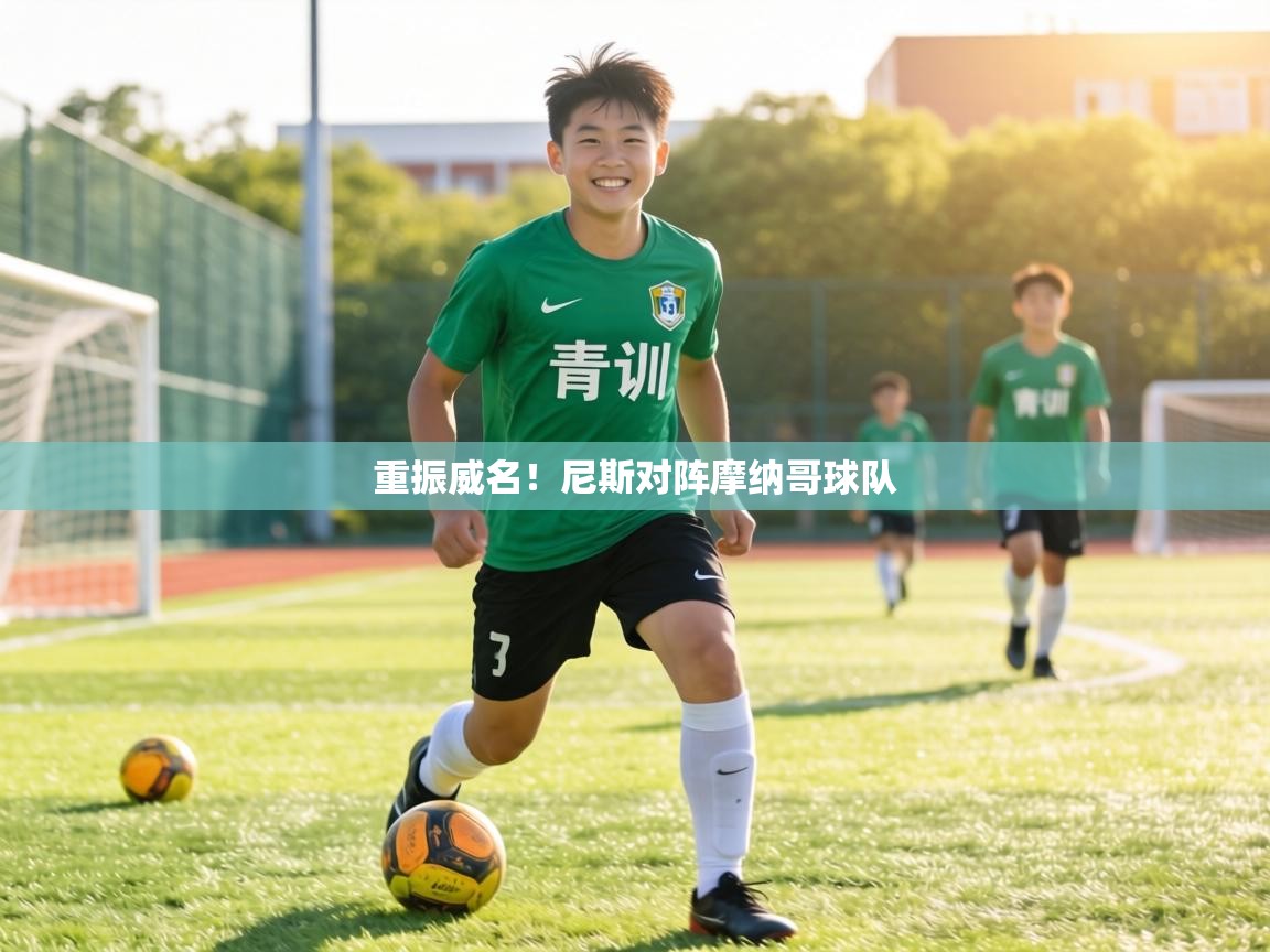 重振威名!尼斯对阵摩纳哥球队 第1张